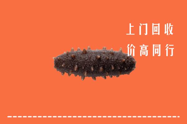 青河县高价回收海参