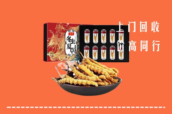 青河县回收虫草